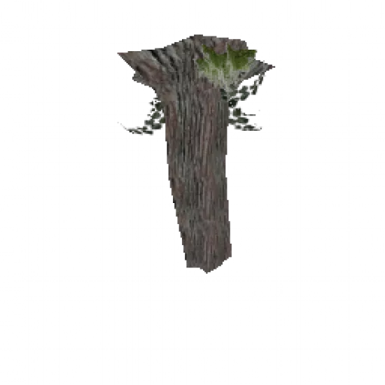 Гриб Млечник - №91733