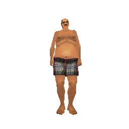 Скин: VC - Beach Visitor (ID: 553) - №92867