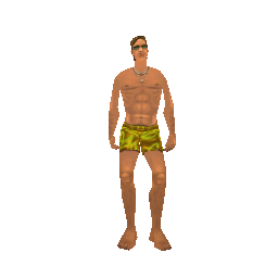 Скин: VC - Beach Visitor (ID: 568) - №92852