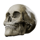 Останки мертвых - №92053