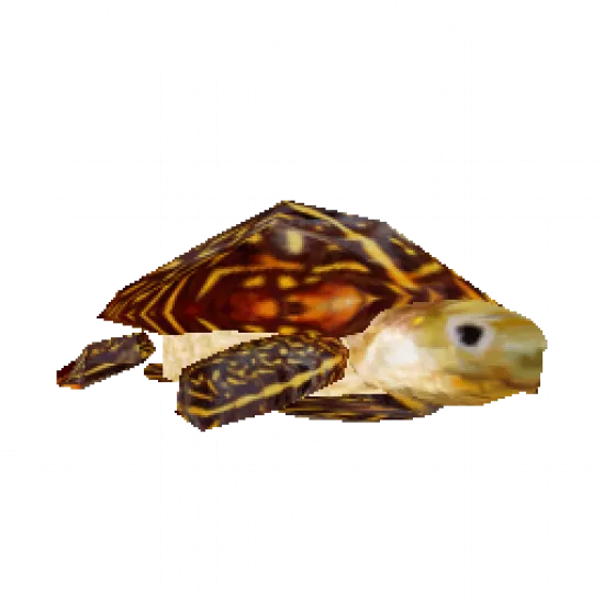 Черепаха на спину - №93307