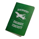 Документ: бизнес пилот - №91095