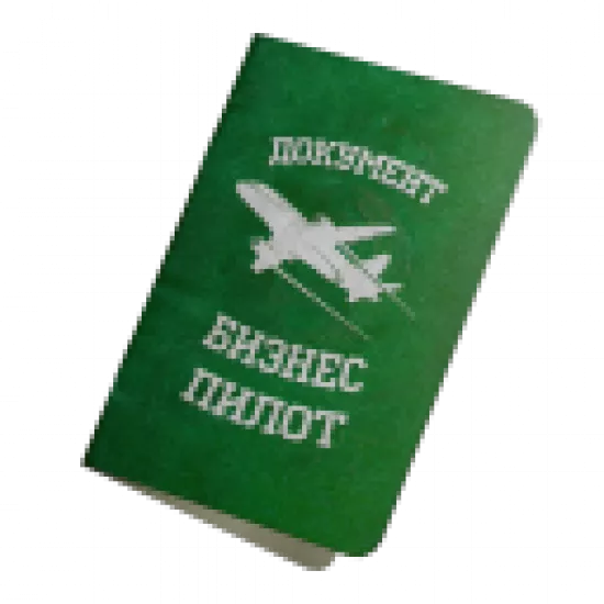 Документ: бизнес пилот - №91095