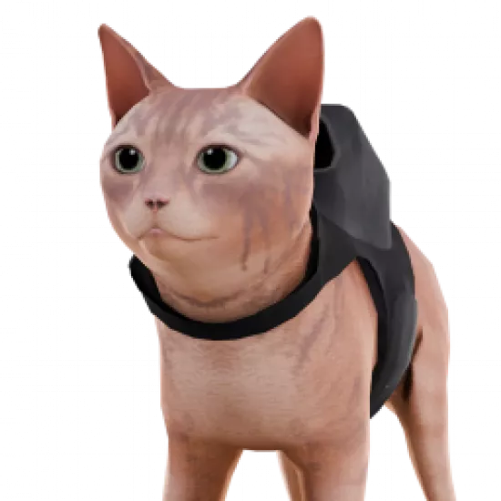 Скин: Кот из Stray (ID: 1018) - №91871