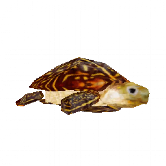 Черепаха [деталь тюнинга] - №93300