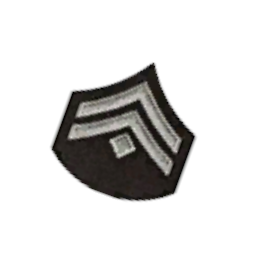 Нашивка на аксессуар(регенерация) - №94408