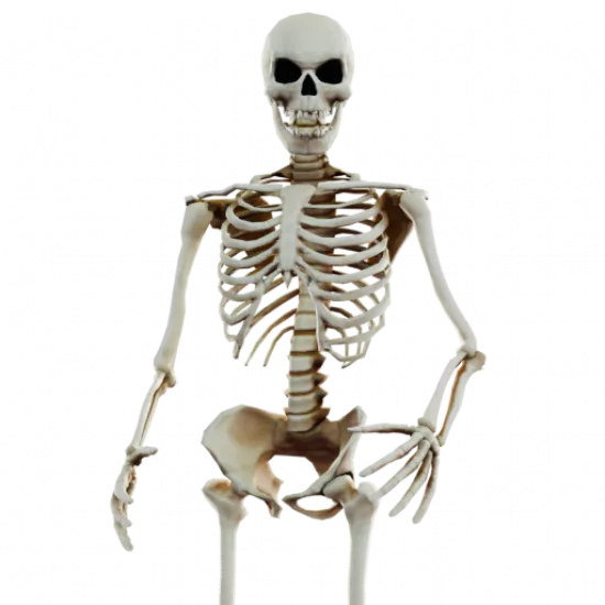 Скин: Скелет (ID: 1058) - №94384