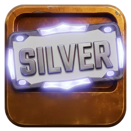 Номерная рамка: Diamond Silver - №100311